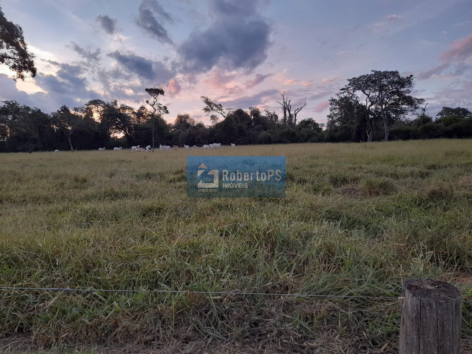 Fazenda de luxo à venda em ribeirão bonito-sp, centro: 4 qua