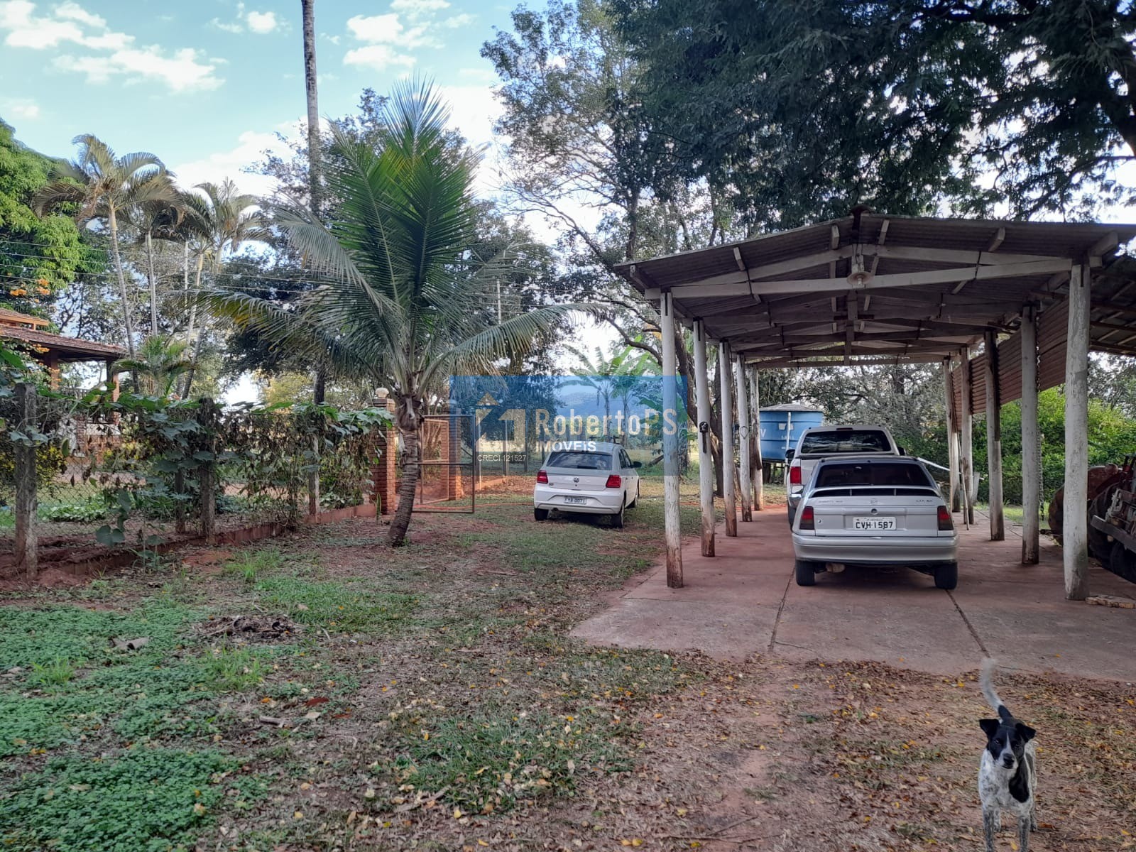 Fazenda de luxo à venda em ribeirão bonito-sp, centro: 4 qua