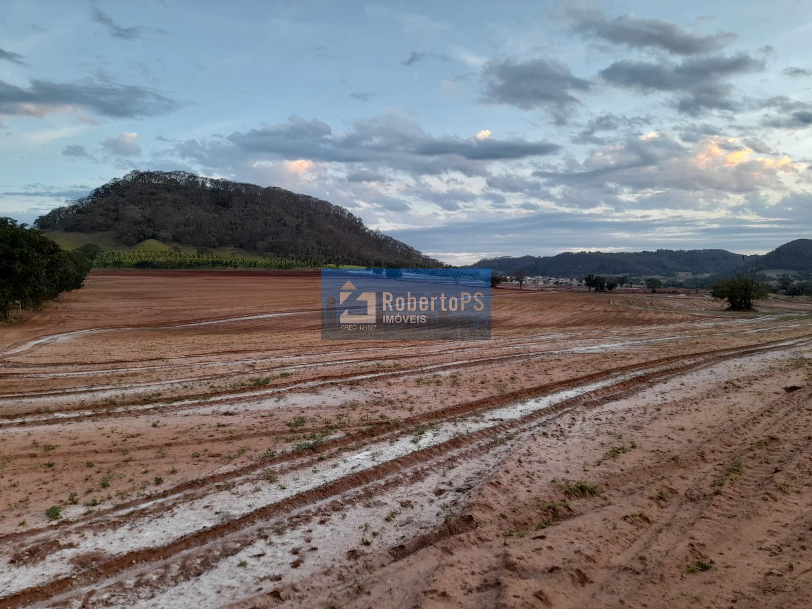 Fazenda de luxo à venda em ribeirão bonito-sp, centro: 4 qua