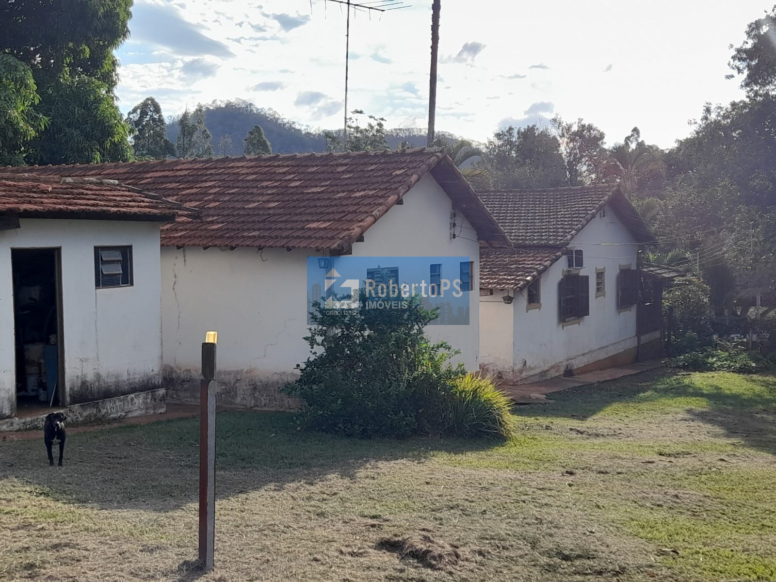 Fazenda de luxo à venda em ribeirão bonito-sp, centro: 4 qua