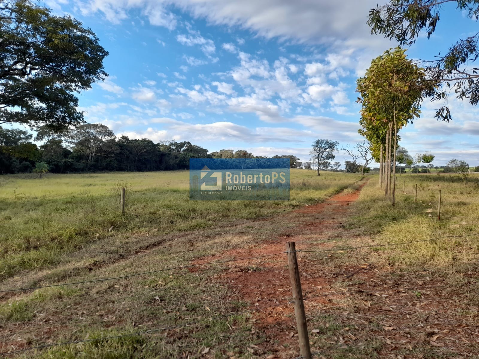 Fazenda de luxo à venda em ribeirão bonito-sp, centro: 4 qua
