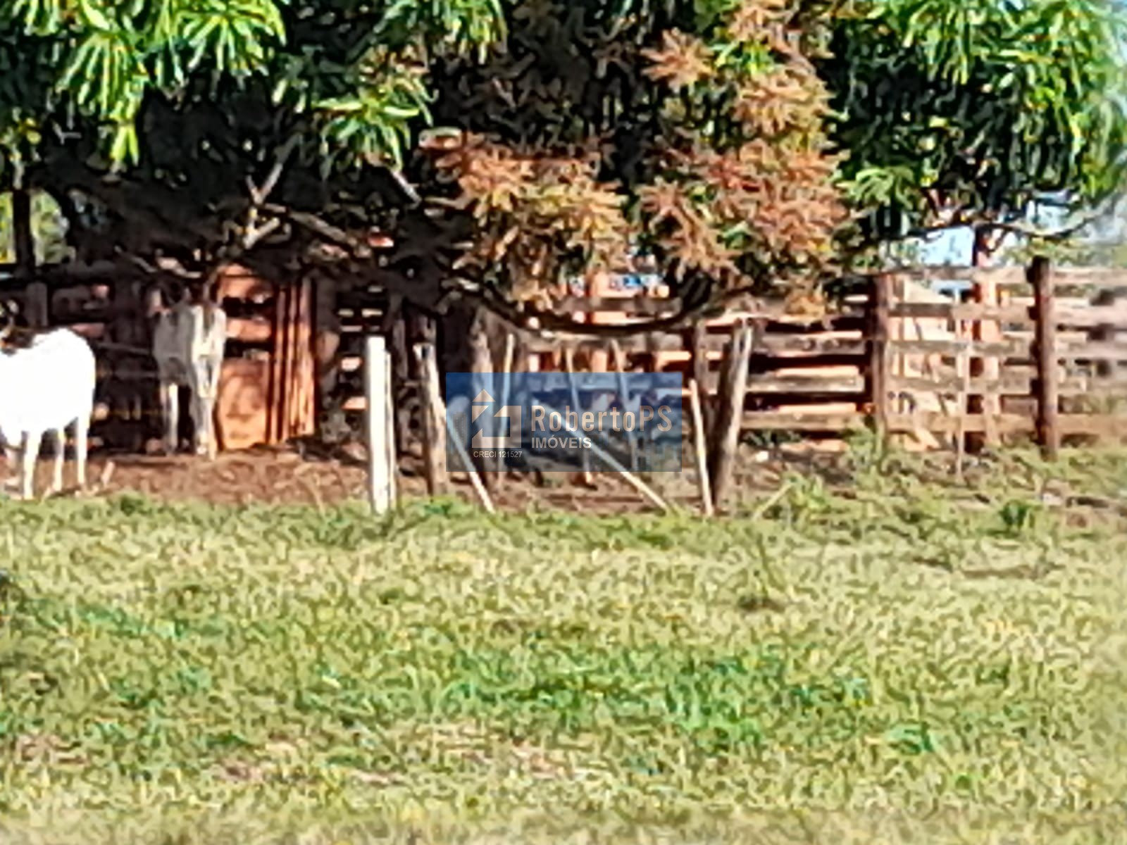 Fazenda de luxo à venda em Ribeirão Bonito-SP, Centro: 4 quartos, 2 salas, 3 banheiros, 57 hectares!
