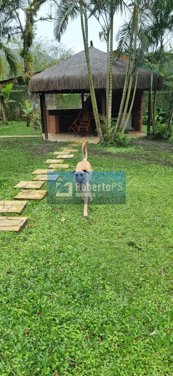Imóvel de luxo à venda em Camburi, São Sebastião-SP: 4 quartos, 4 suítes, 6 banheiros, 1 sala, 4 vagas de garagem, 250m² de área.