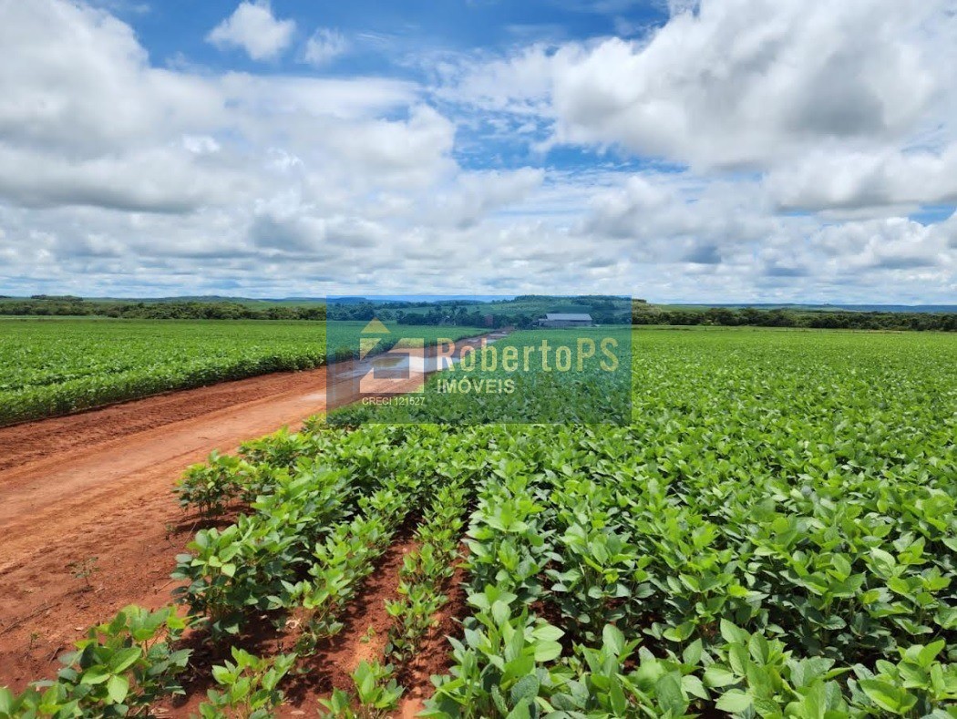 Fazenda rio couto - água boa mt