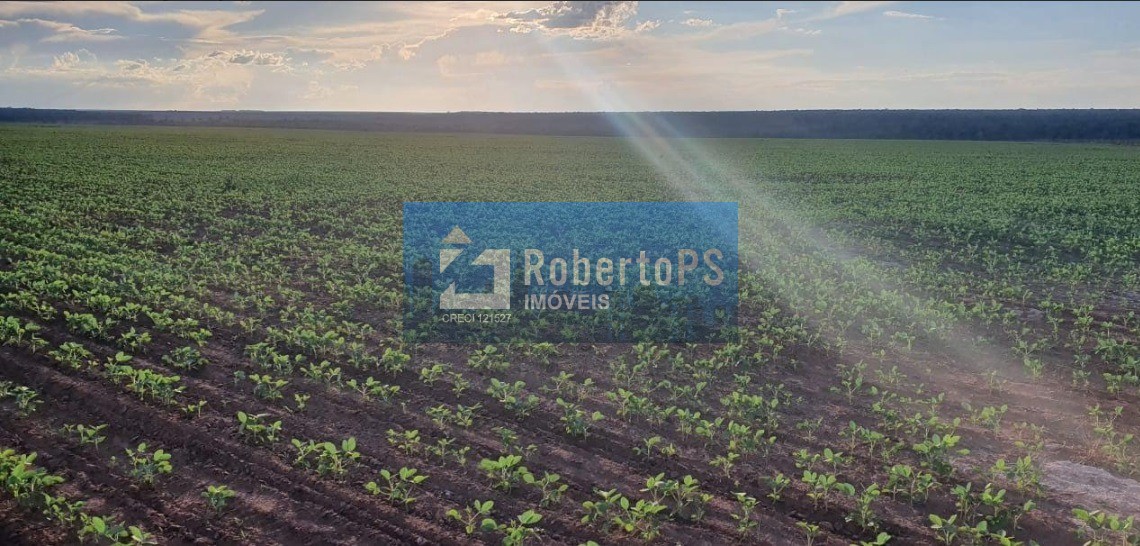 Fazenda água limpa região de paranatinga-mt área total da fa