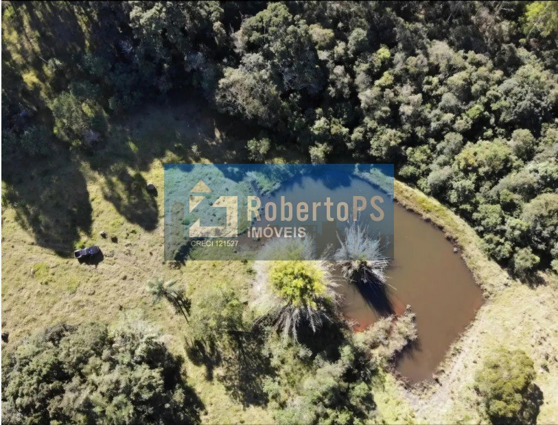 Fazenda em aiuruoca - mg - 60 hectares. Frente rodovia e pic