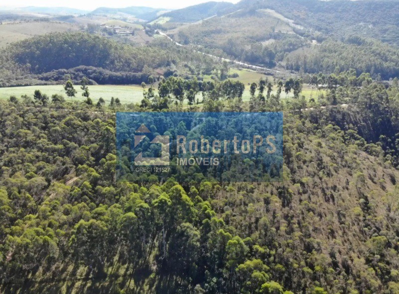 Fazenda em aiuruoca - mg - 60 hectares. Frente rodovia e pic