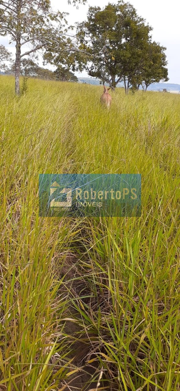 Fazenda de luxo à venda em Claraval-MG: 3 quartos, 4 banheiros, 4 vagas de garagem, 110 alqueires de área no Centro.