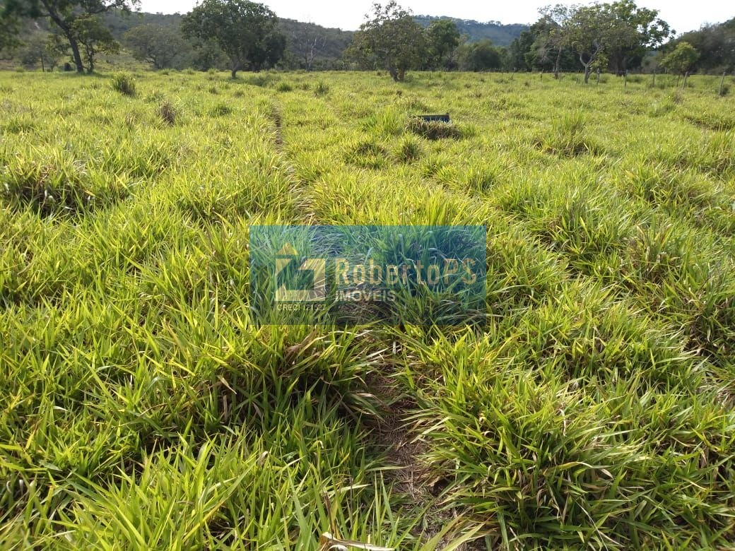 Fazenda de luxo à venda em claraval-mg: 3 quartos, 4 banheir