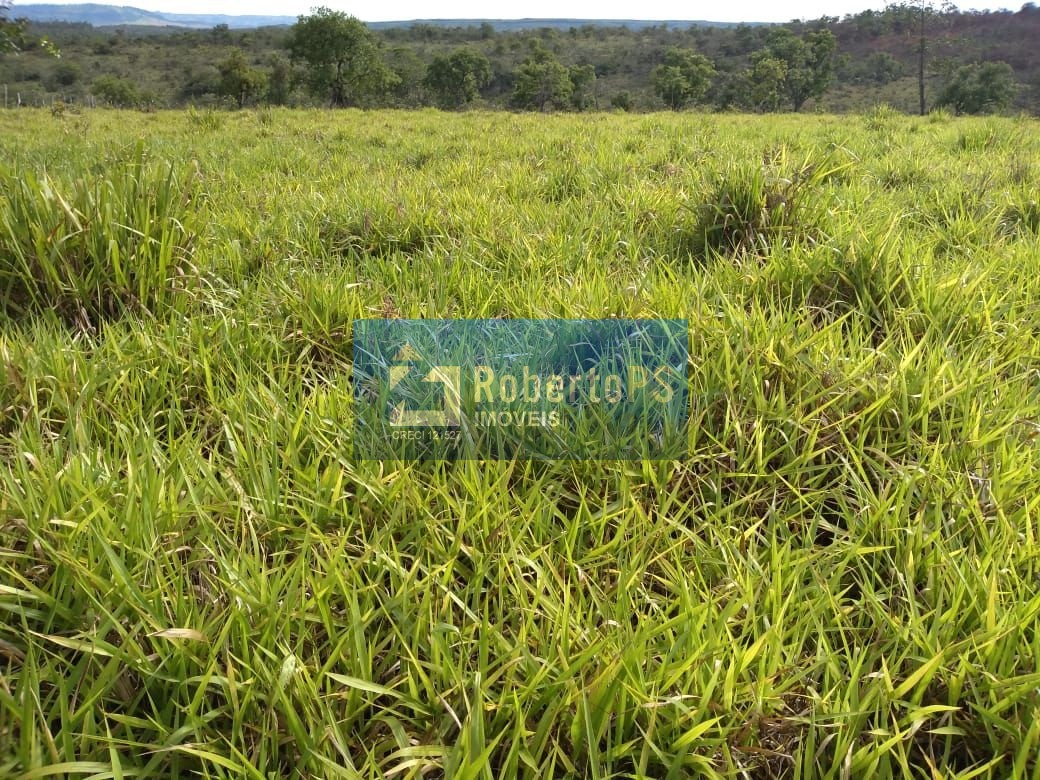 Fazenda de luxo à venda em claraval-mg: 3 quartos, 4 banheir