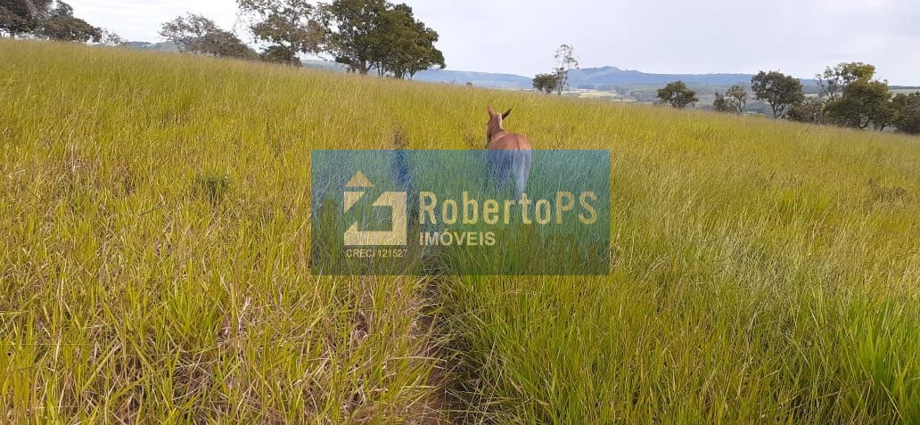 Fazenda de luxo à venda em Claraval-MG: 3 quartos, 4 banheiros, 4 vagas de garagem, 110 alqueires de área no Centro.