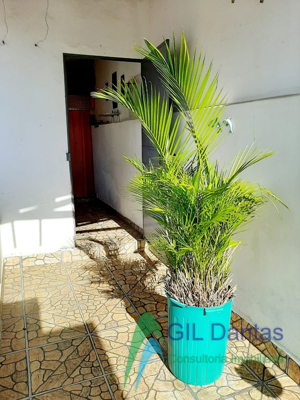 Casa, 4 quartos, 200 m² - Foto 36