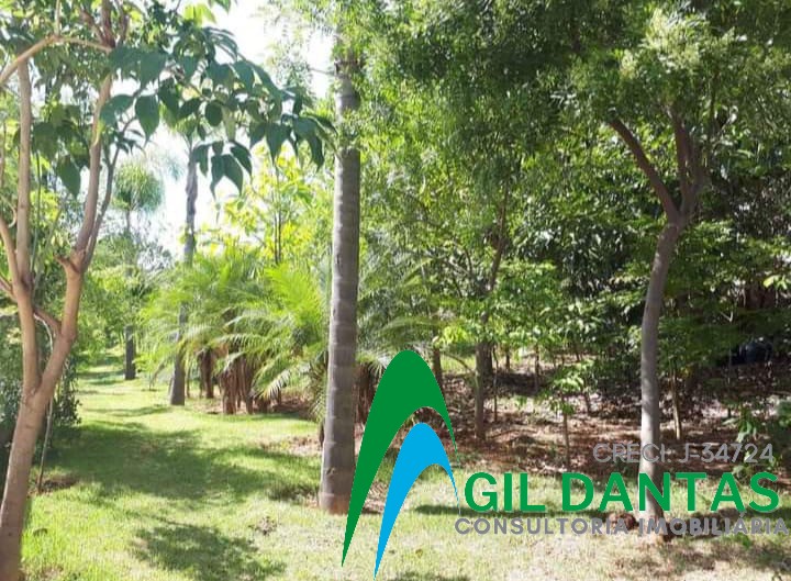 Apartamento, 2 quartos, 45 m² - Foto 13