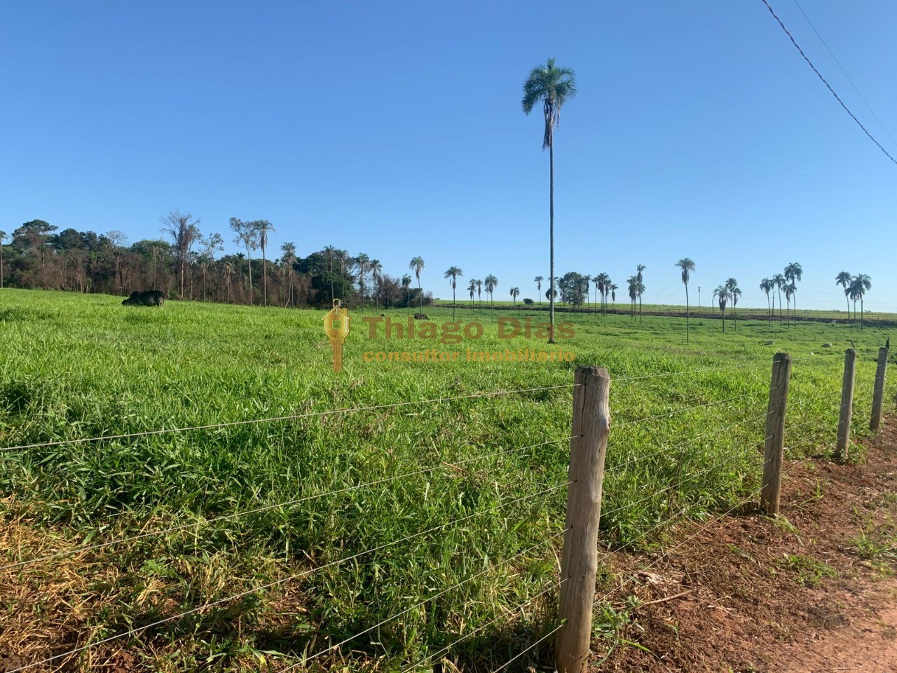 Chácara à venda, 20000m² - Foto 3