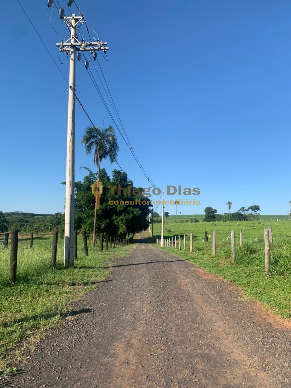 Chácara à venda, 20000m² - Foto 5
