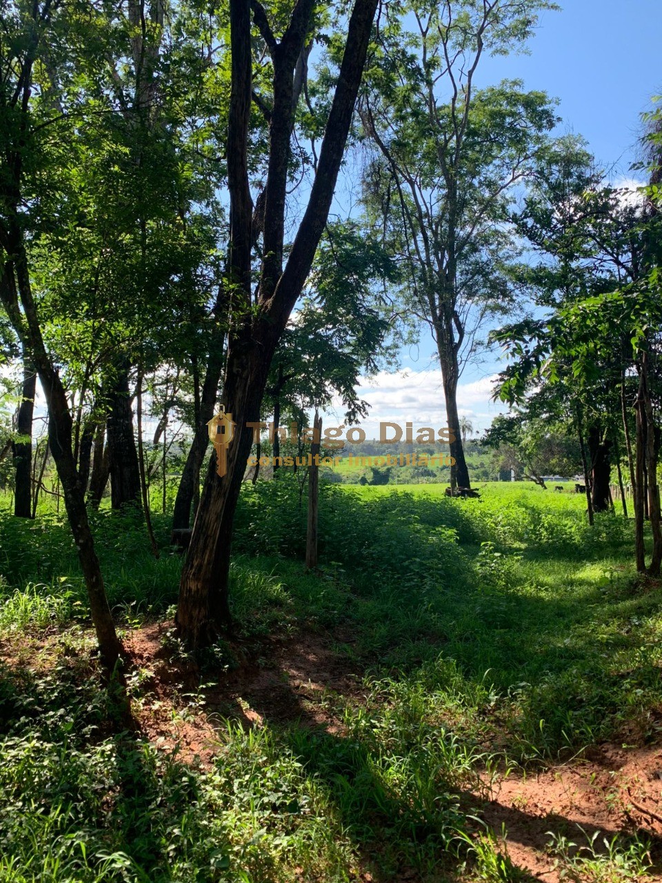 Chácara à venda, 20000m² - Foto 2