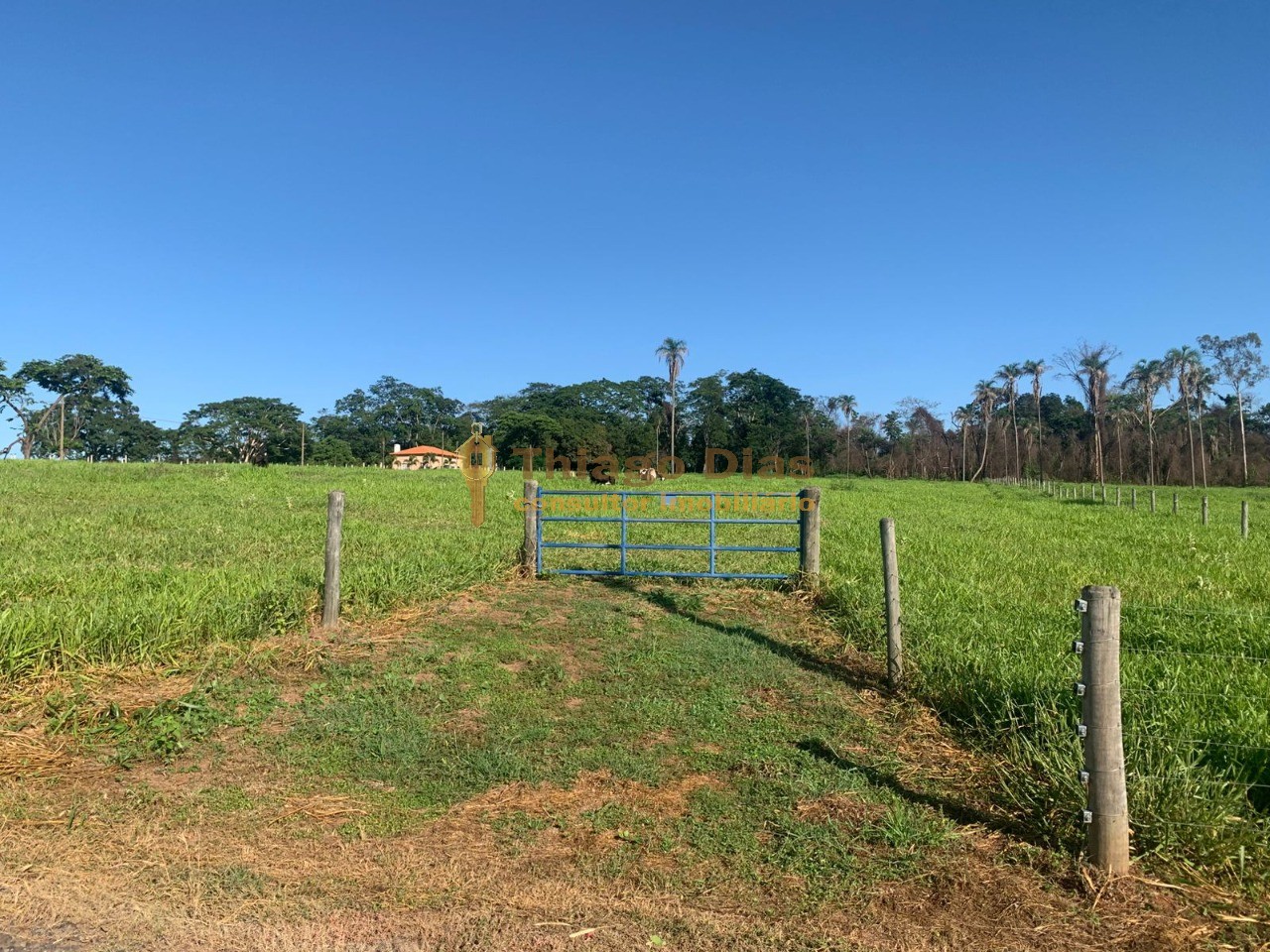 Chácara à venda, 20000m² - Foto 6