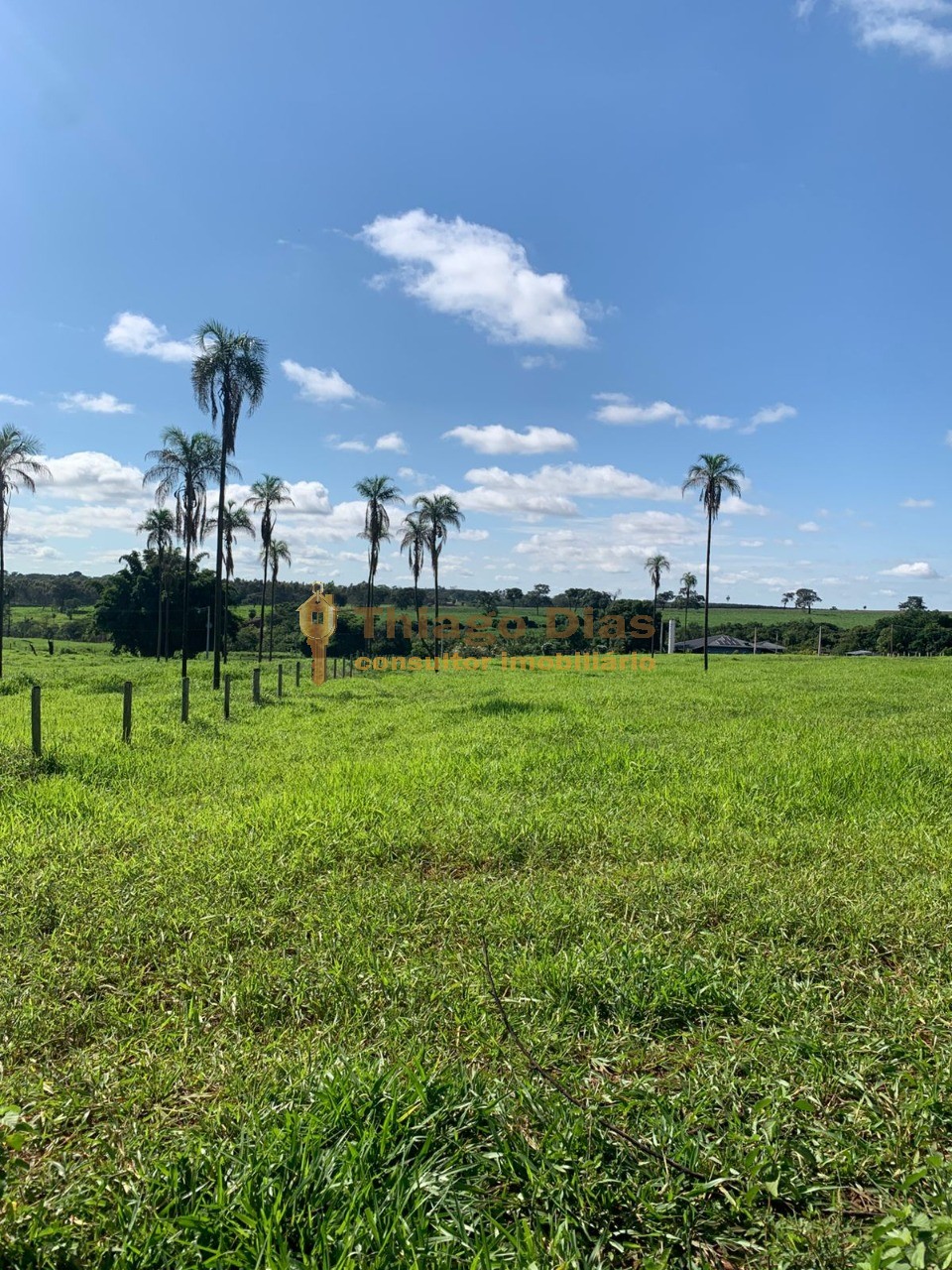 Chácara à venda, 20000m² - Foto 4