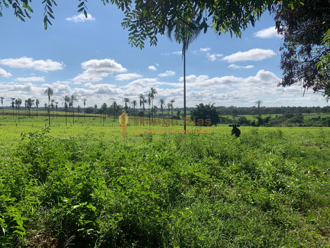 Chácara à venda, 20000m² - Foto 1