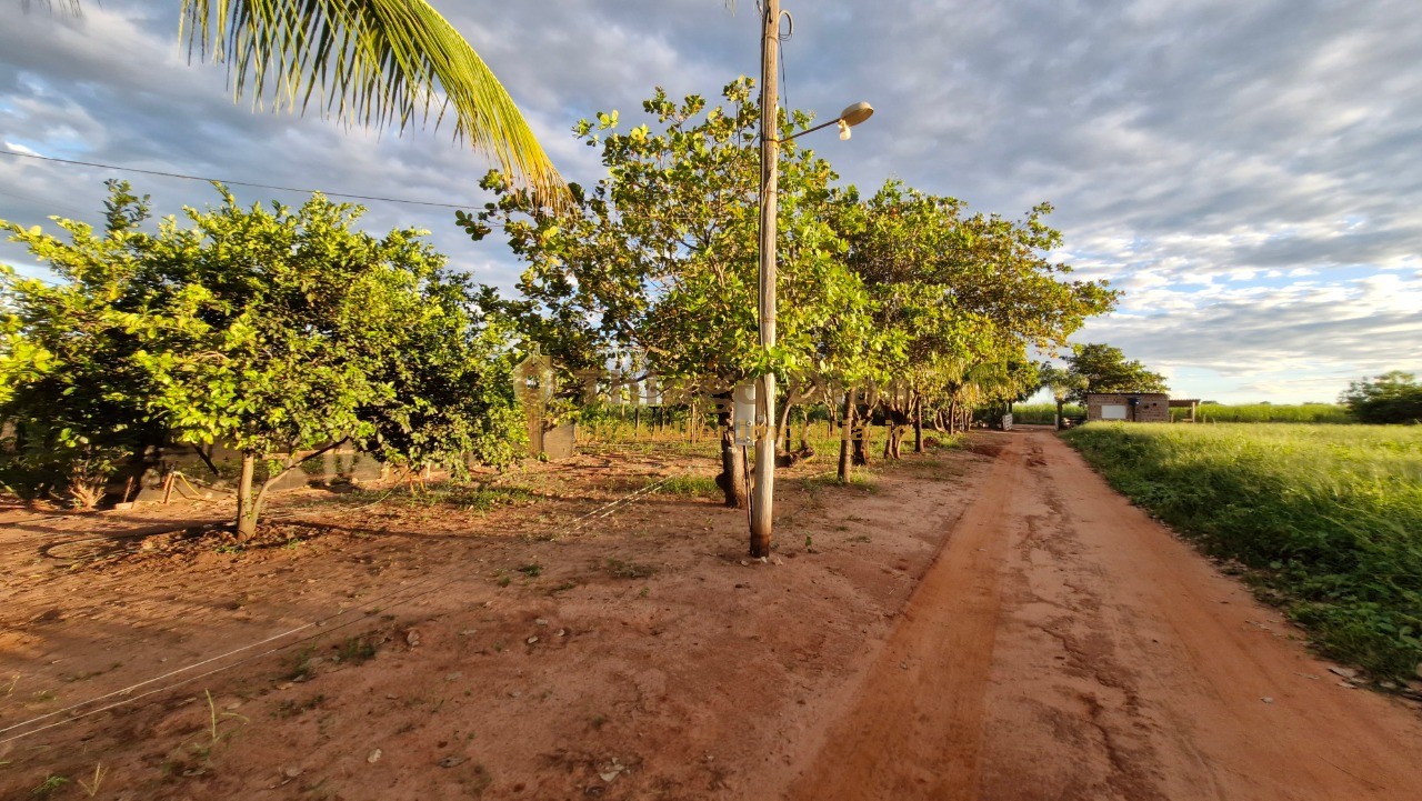 Chácara à venda com 1 quarto, 160m² - Foto 24