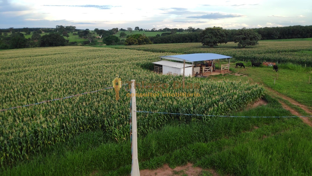 Sítio, 2 quartos, 10 m² - Foto 2