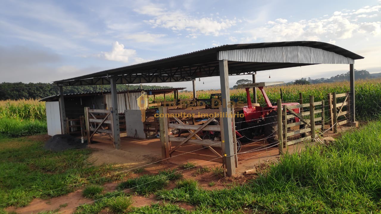 Sítio, 2 quartos, 10 m² - Foto 6