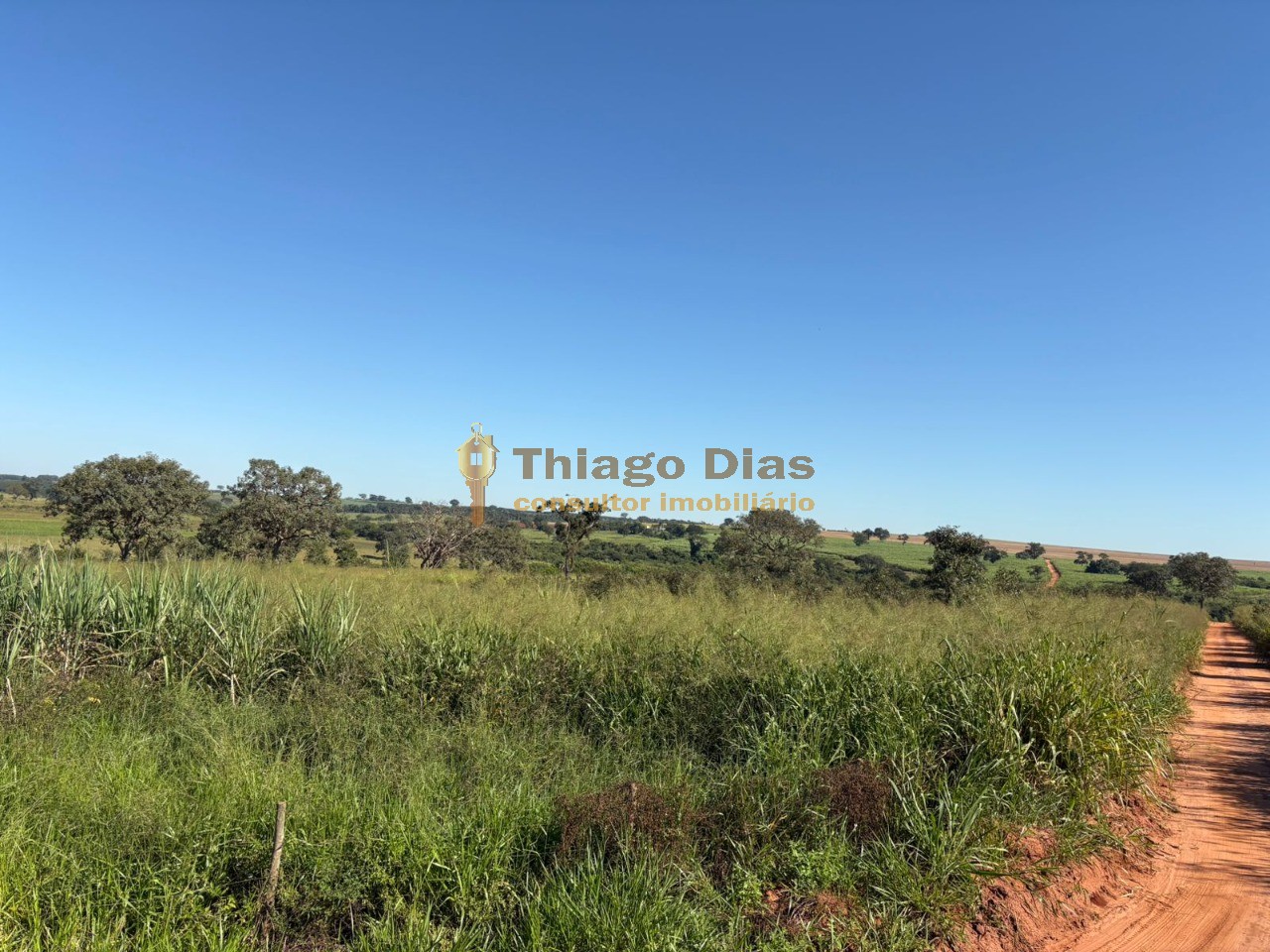 Sítio, 5 m² - Foto 4