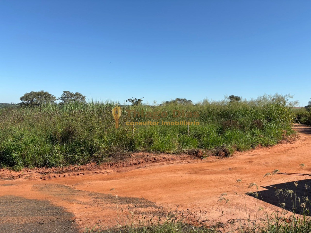 Sítio, 5 m² - Foto 6