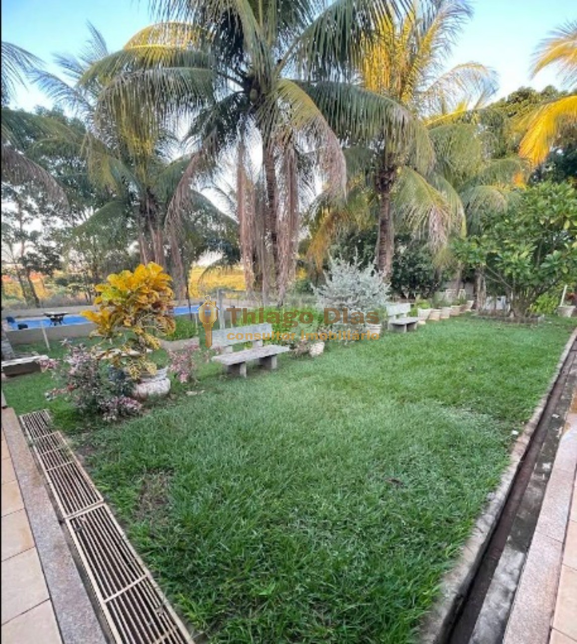 Chácara, 4 quartos, 3 hectares - Foto 13