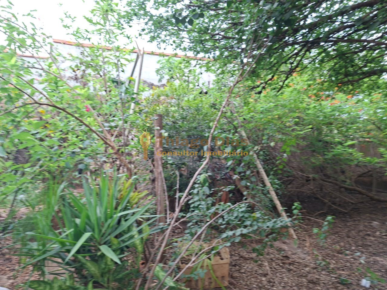 Prédio Inteiro - Foto 53