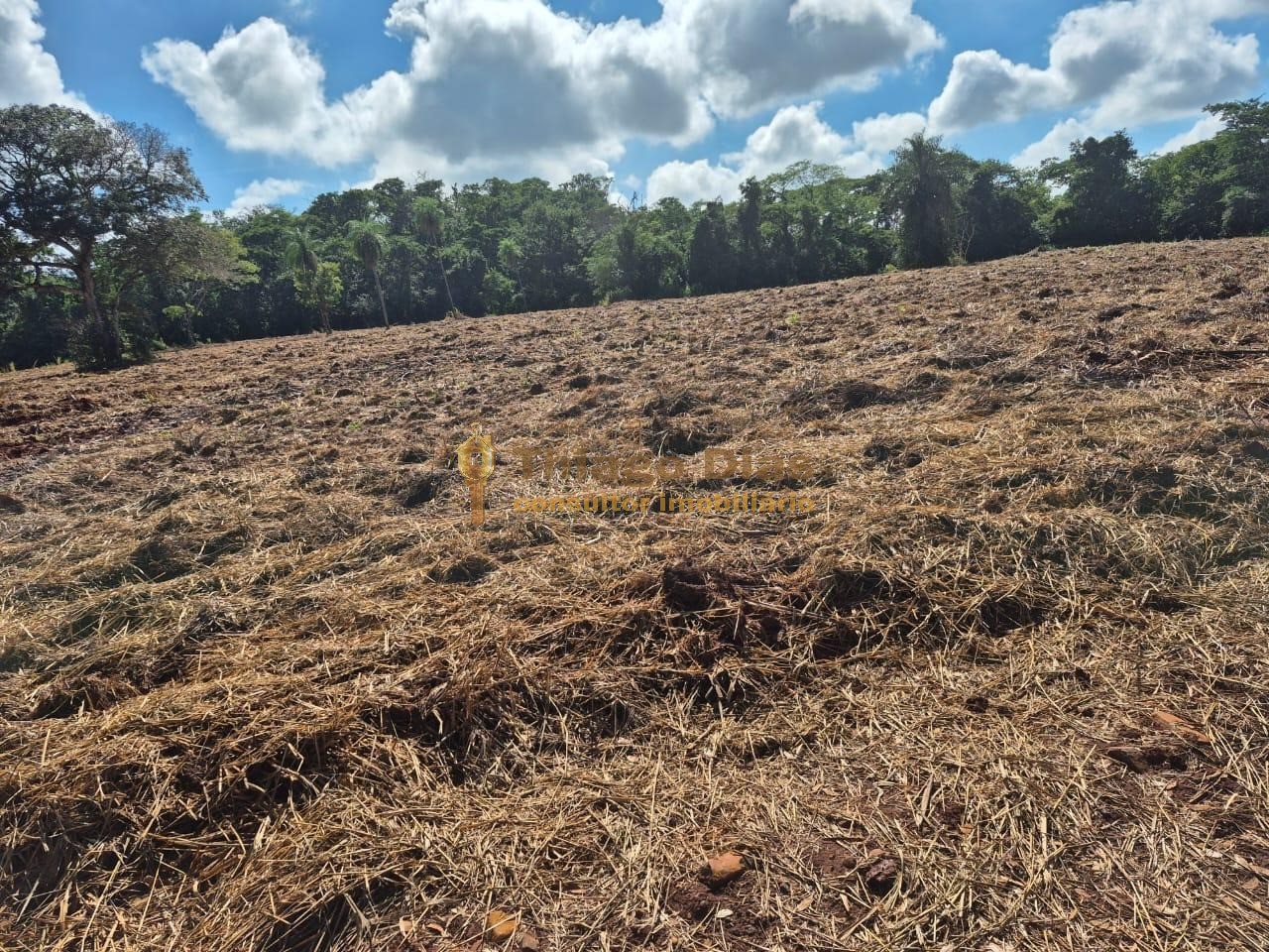 Sítio, 4 m² - Foto 1