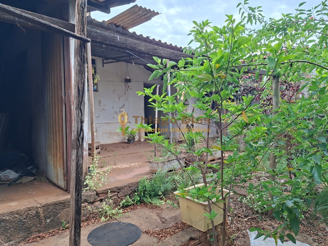 Prédio Inteiro - Foto 52