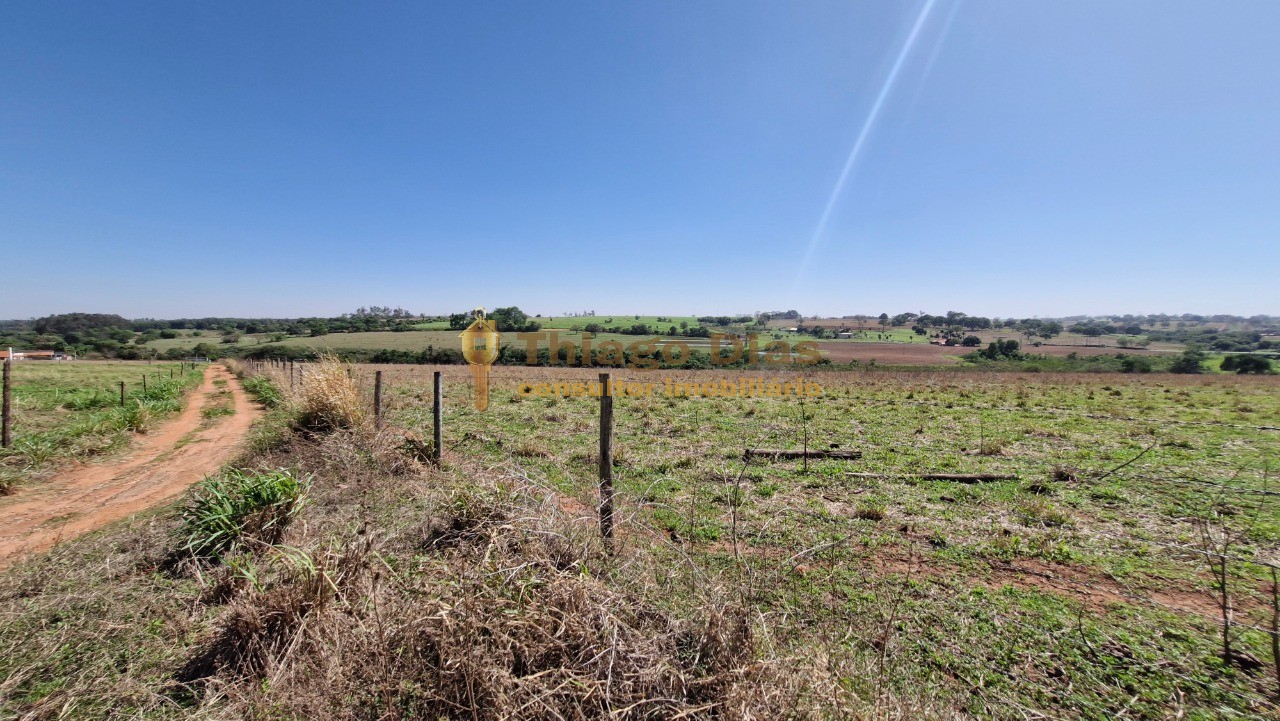 Chácara, 2 hectares - Foto 6