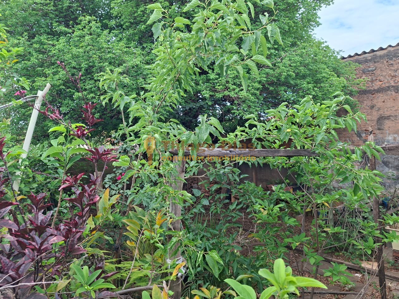 Prédio Inteiro - Foto 51