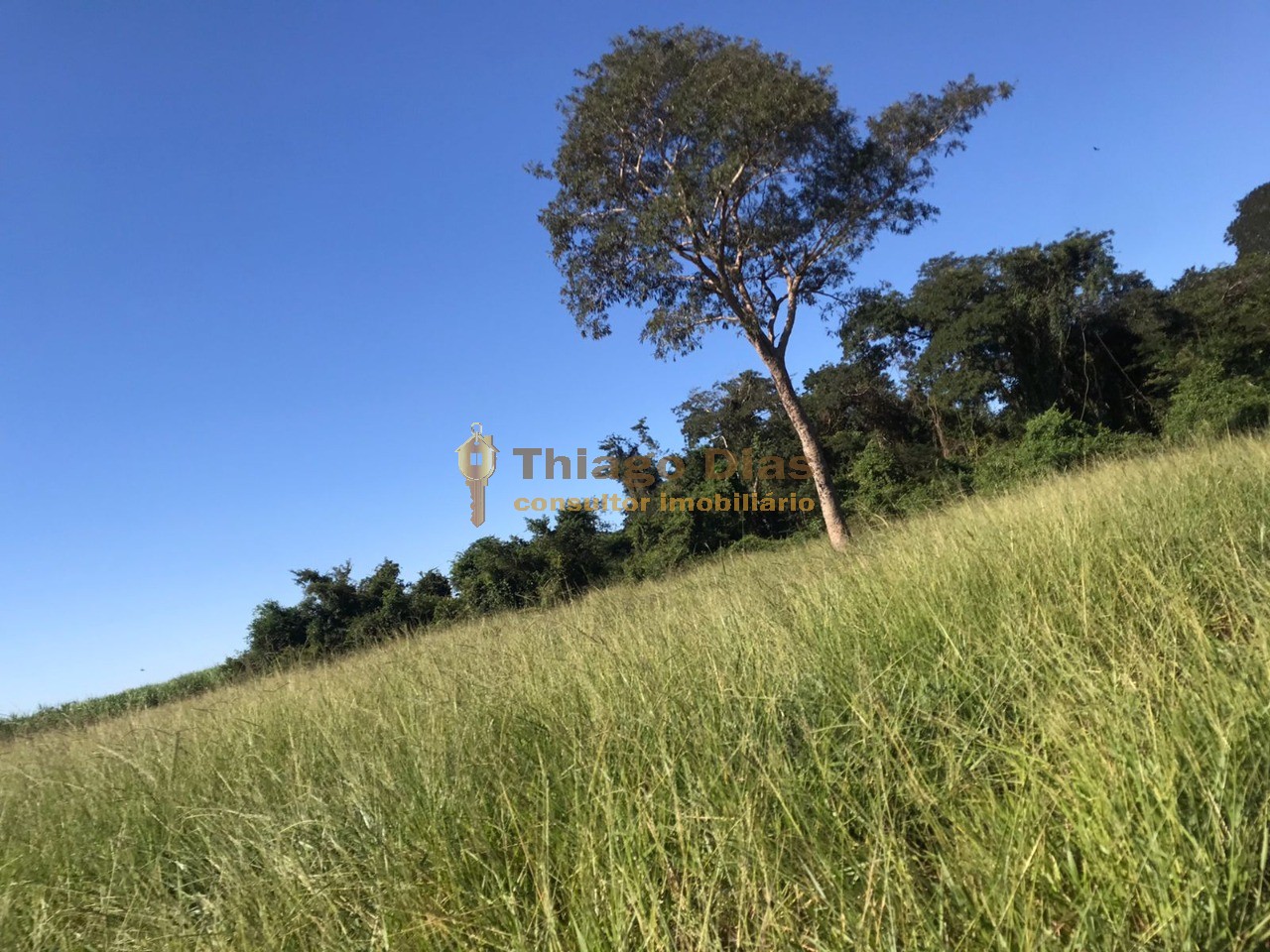 Sítio, 3 quartos, 6 m² - Foto 29