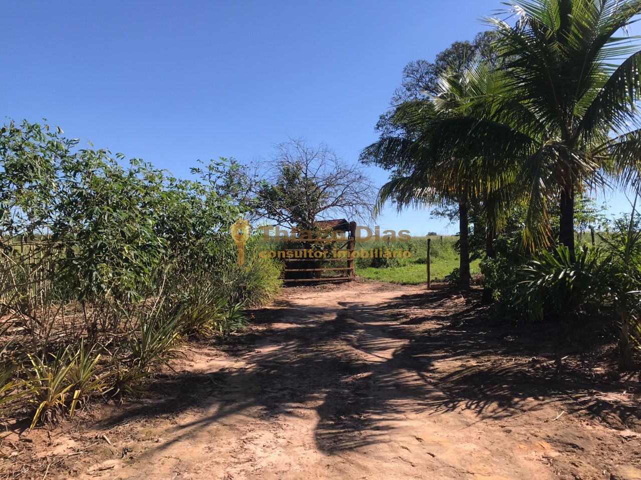 Sítio, 3 quartos, 6 m² - Foto 24