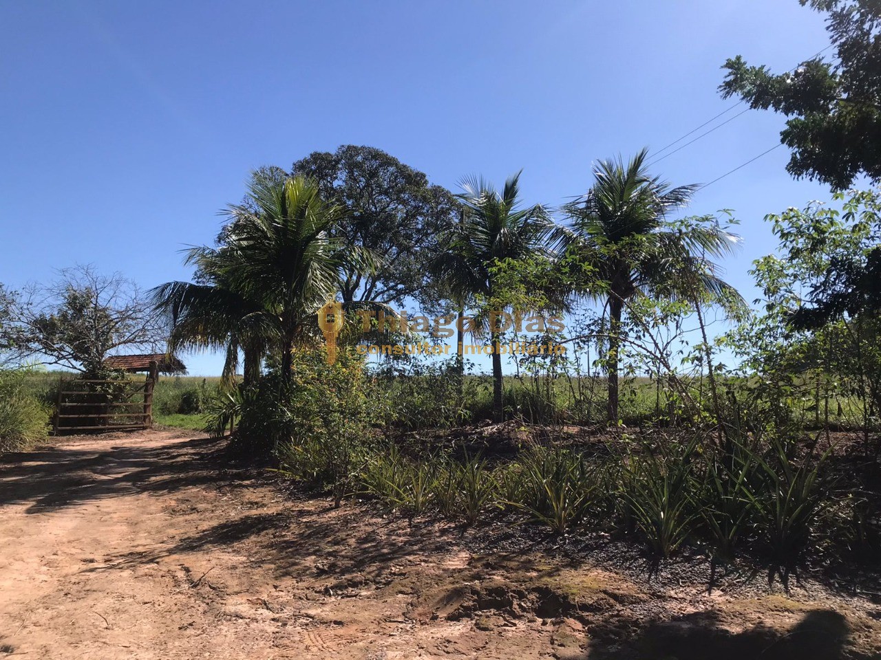 Sítio, 3 quartos, 6 m² - Foto 25