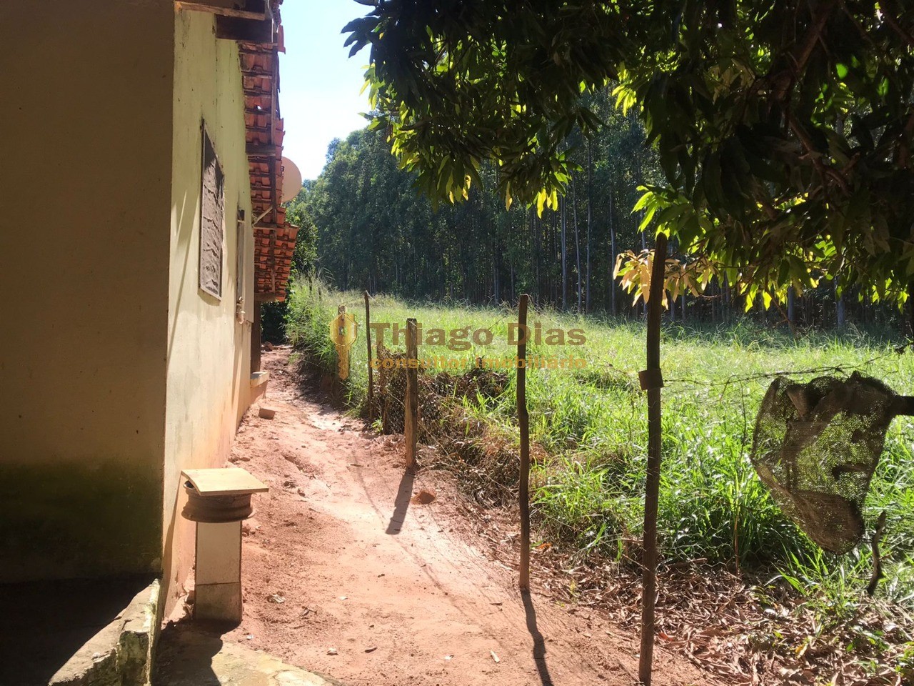 Sítio, 3 quartos, 6 m² - Foto 18