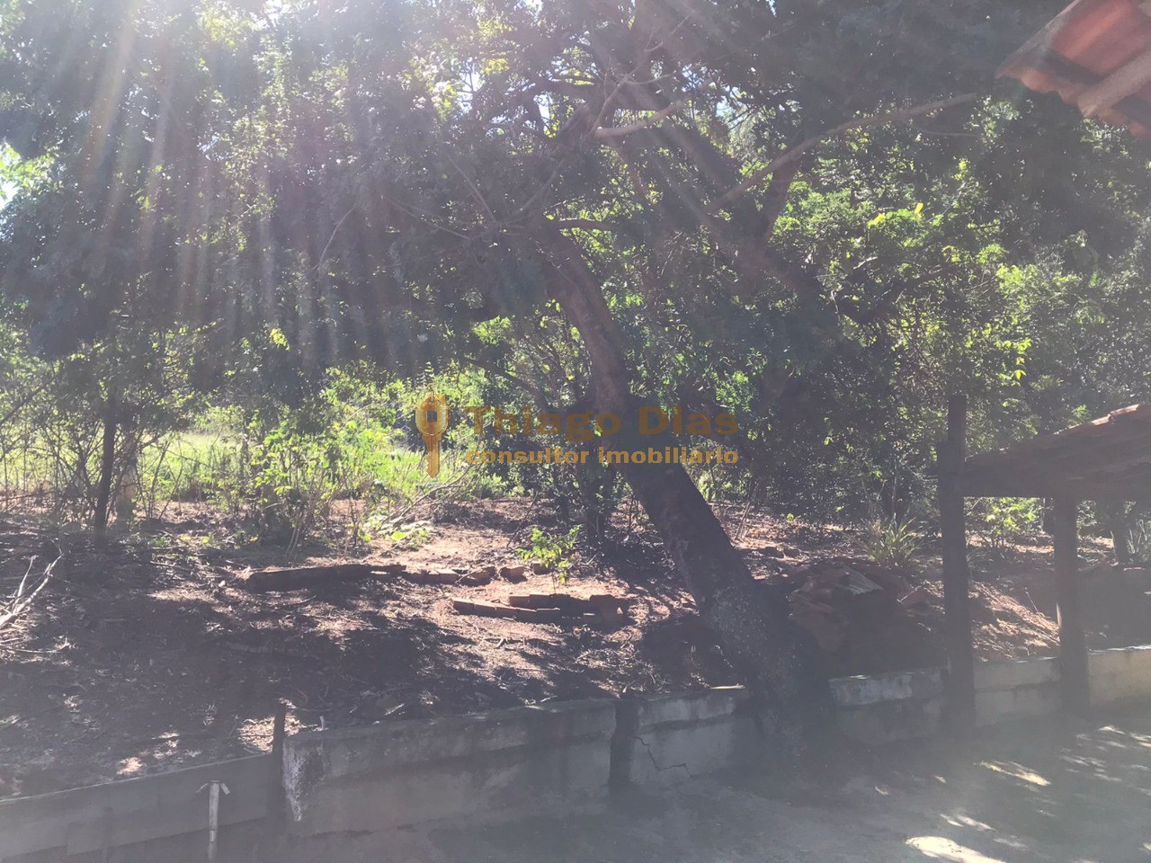 Sítio, 3 quartos, 6 m² - Foto 26