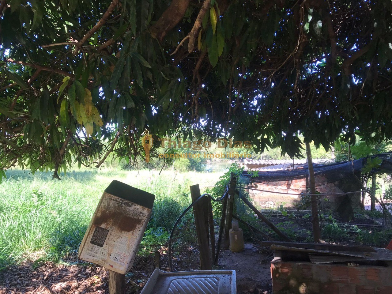 Sítio, 3 quartos, 6 m² - Foto 27