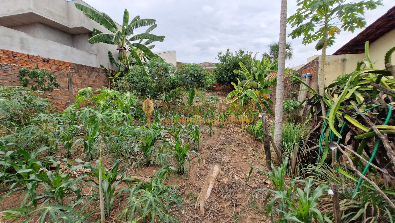 Terreno, 382 m² - Foto 3