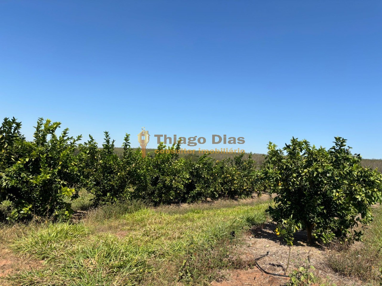 Fazenda, 33 m² - Foto 10