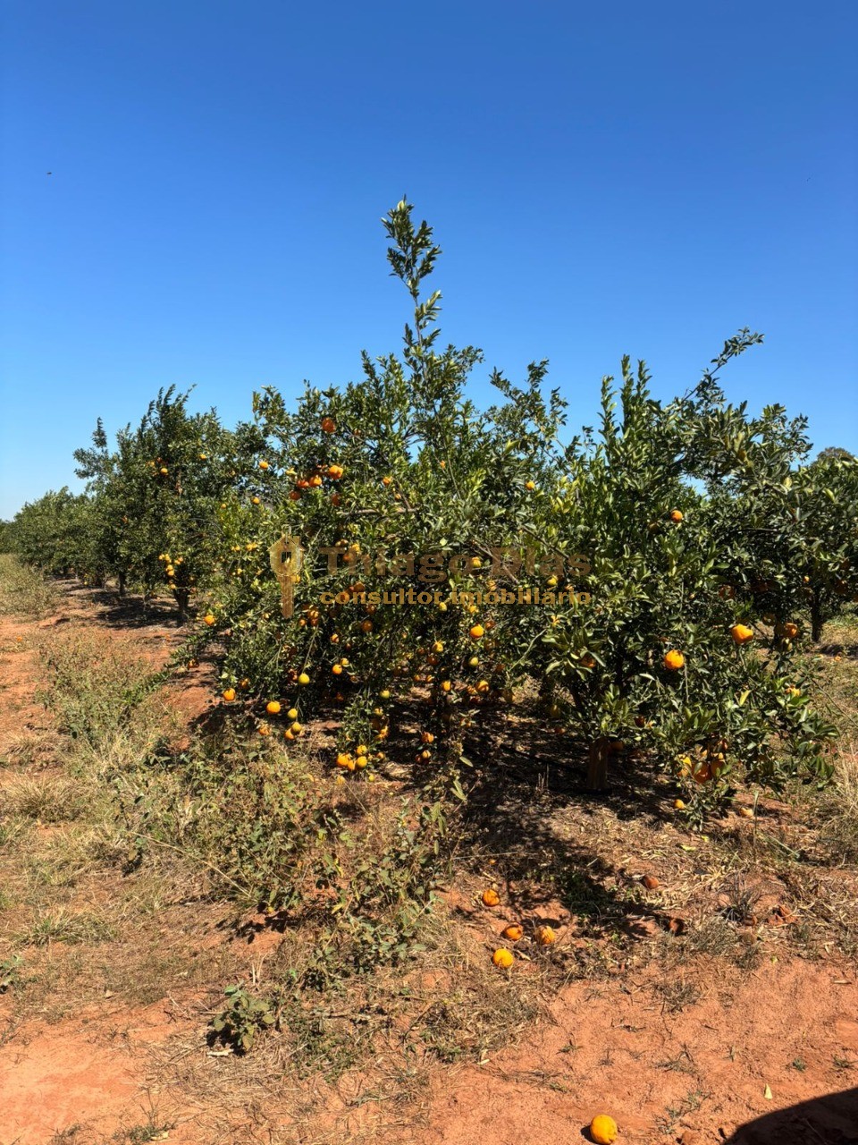 Fazenda, 33 m² - Foto 13