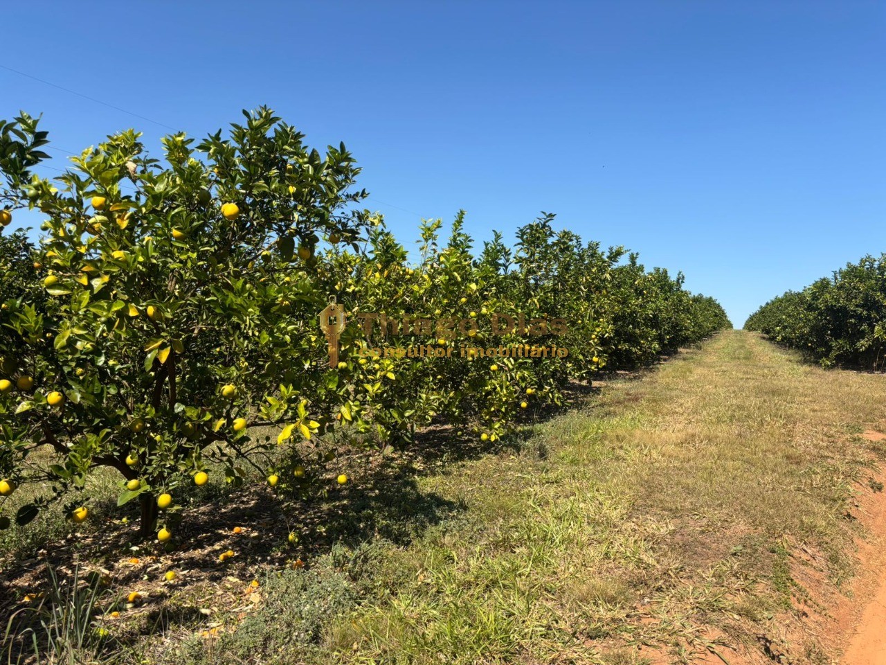Fazenda, 33 m² - Foto 14