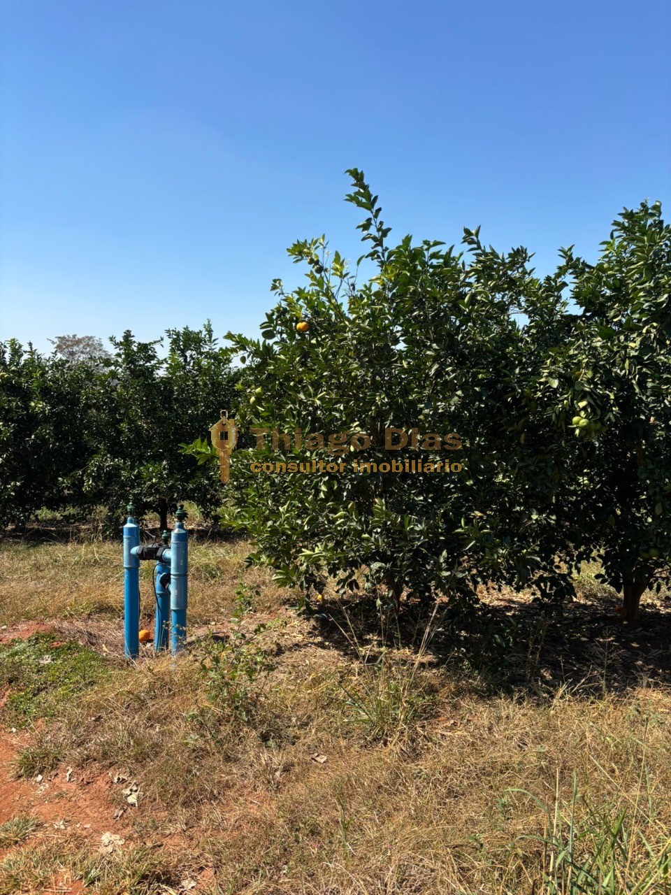 Fazenda, 33 m² - Foto 8