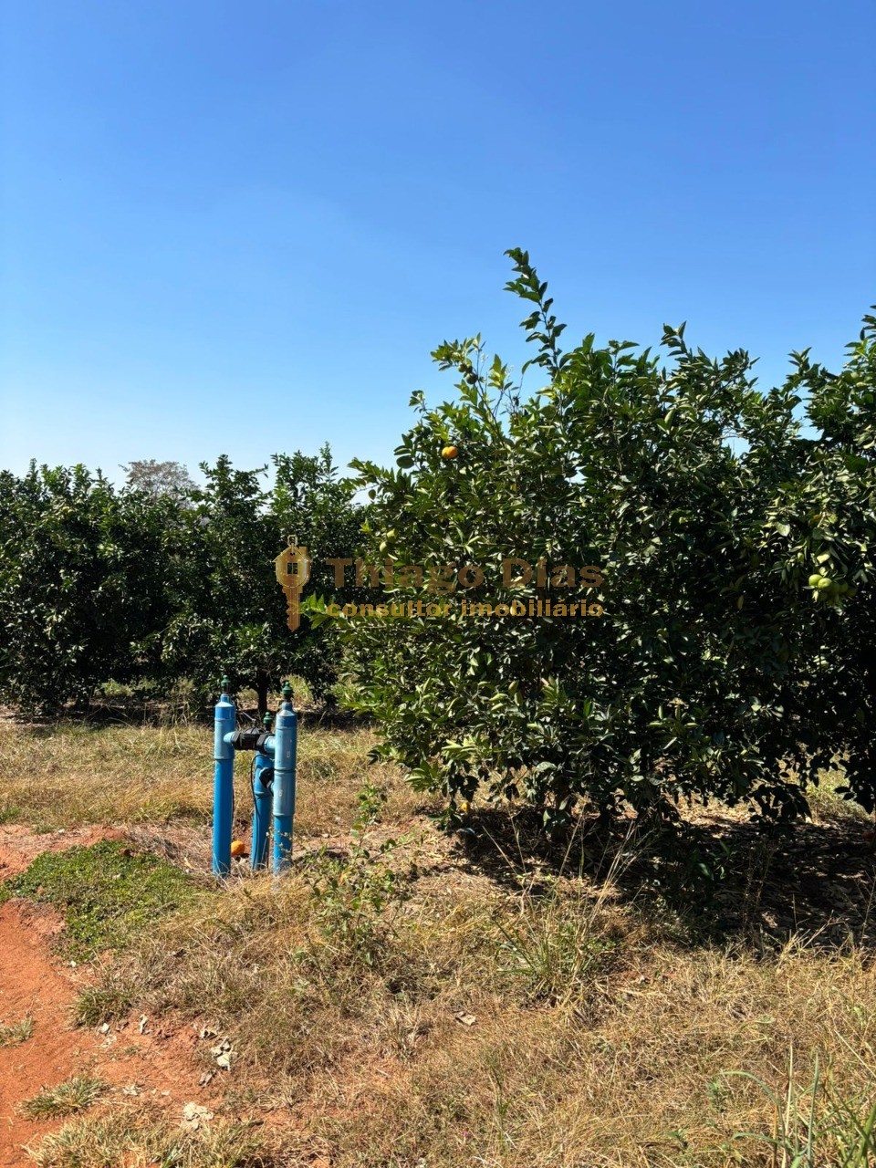 Fazenda, 33 m² - Foto 9