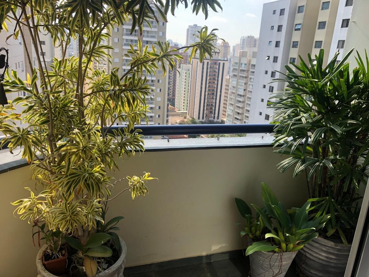 APARTAMENTO RESIDENCIAL em SÃO PAULO - SP, VILA DA SAÚDE