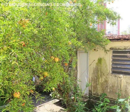 Casa, 4 quartos - Foto 20