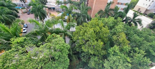 Apartamento, 4 quartos, 290 m² - Foto 20