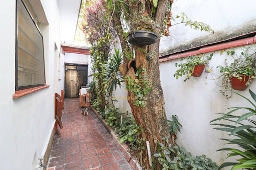 Casa, 3 quartos, 300 m² - Foto 6